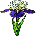Flower 382 Clip Art