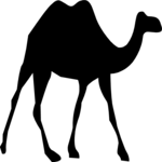Camel 3