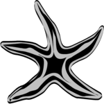 Starfish 04 Clip Art