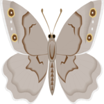 Butterfly 087 Clip Art