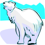 Bear - Polar 02