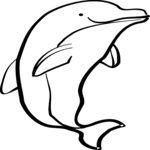 Dolphin 01