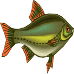 Tetra 22 Clip Art