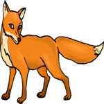 Fox 08