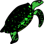 Turtle 5