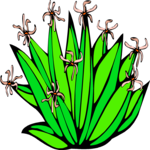 Plant 189 Clip Art