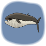 Whale - Finback