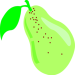 Pear 01 Clip Art