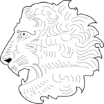 Lion 13