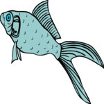 Fish 097