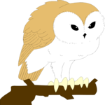 Owl 09