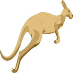 Kangaroo 03