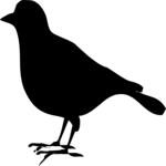 Bird 14