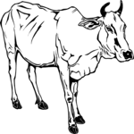 Sacred Cow Clip Art
