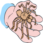 Tarantula 2