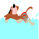 Dog Swimming