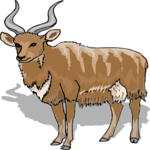 Antelope 48 Clip Art