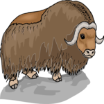 Musk Ox 4 Clip Art