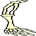 Arm 2 Clip Art