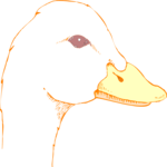 Duck 66 Clip Art