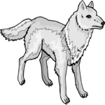 Wolf 09