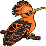 Hoopoe 4 Clip Art