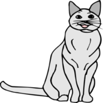 Cat 38