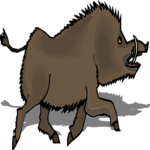 Wild Boar 5