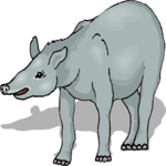 Tapir 4