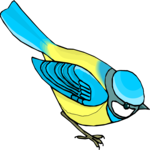 Bird 169