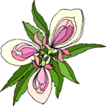 Flower 449