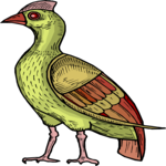 Bird 146