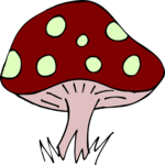 Mushroom 12