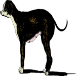 Antique Style Dog Standing
