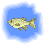 Fish 148