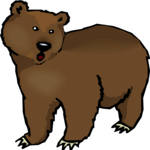 Bear 14
