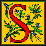 Decorative S