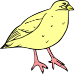 Bird 042