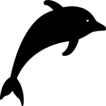 Dolphin 4