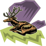 Deer 20