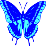 Butterfly 040