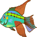 Cichlid - Dwarf 7