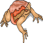 Frog 22 Clip Art