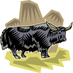 Bull 11