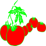 Tomatoes 07 Clip Art