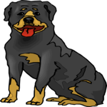 Rottweiler 2