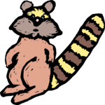 Raccoon 7