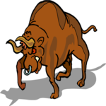 Bull - Angry 4