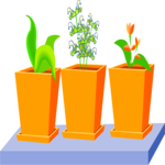 Plants 2 Clip Art