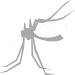 Mosquito 3